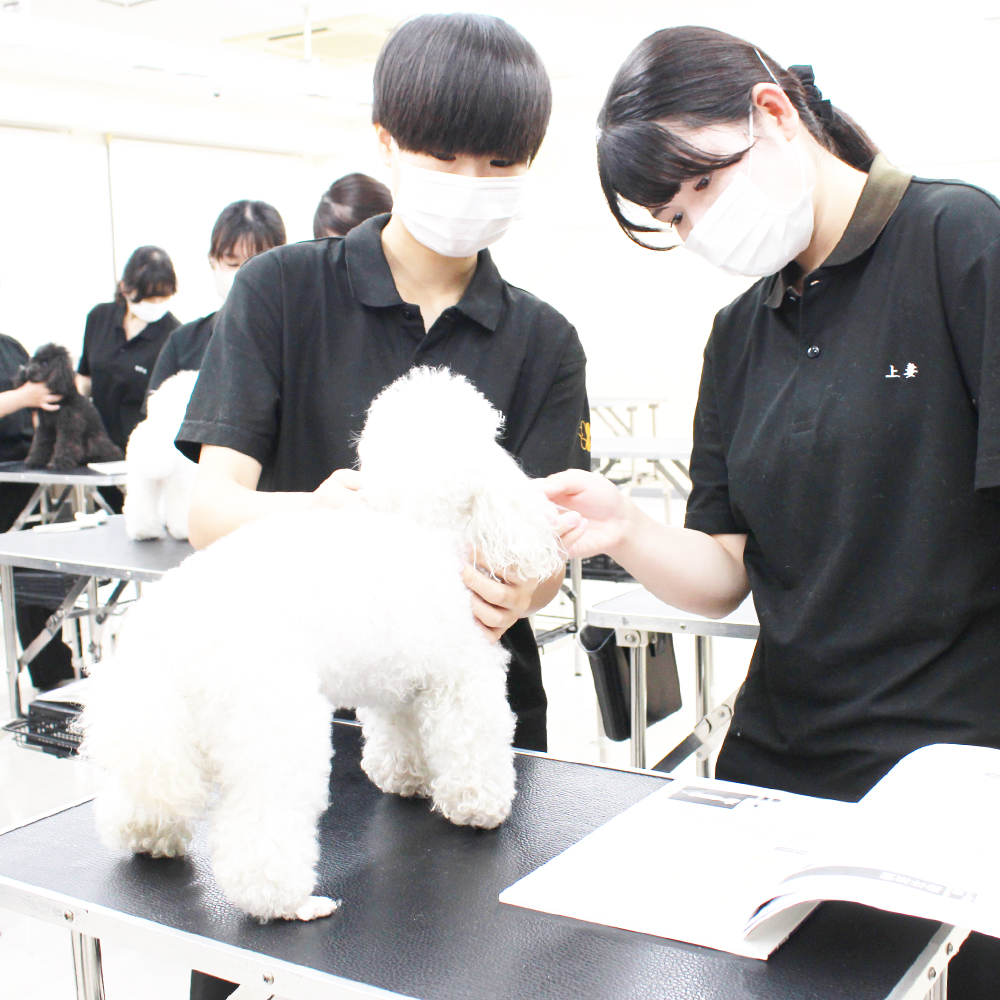 動物看護実習☆